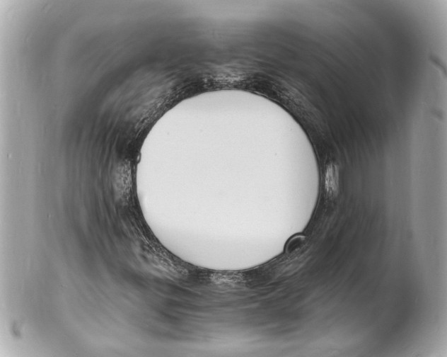 X0000101671299200807311448
