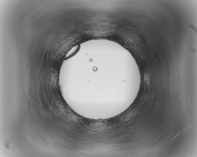 X0000101671300200807311448