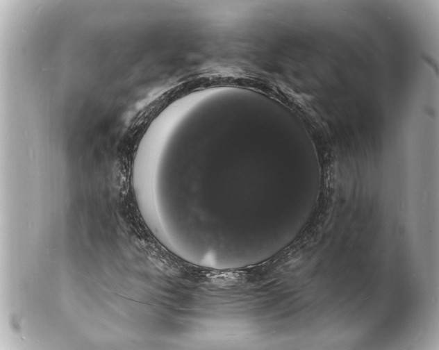 X0000101671303200807311448