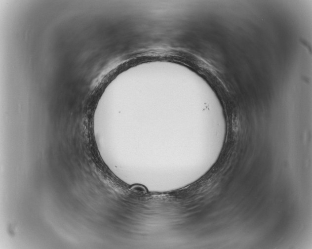 X0000101671304200807311448