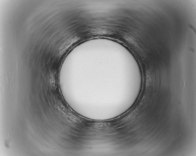 X0000101671305200807311448
