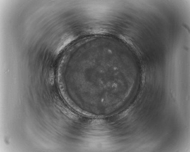 X0000101671306200807311448