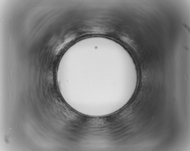 X0000101671307200807311448