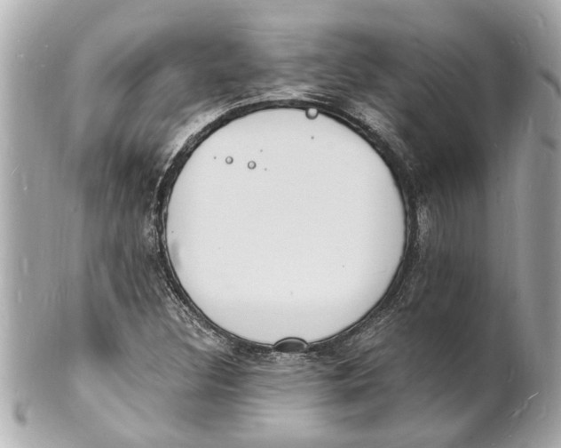 X0000101671308200807311448