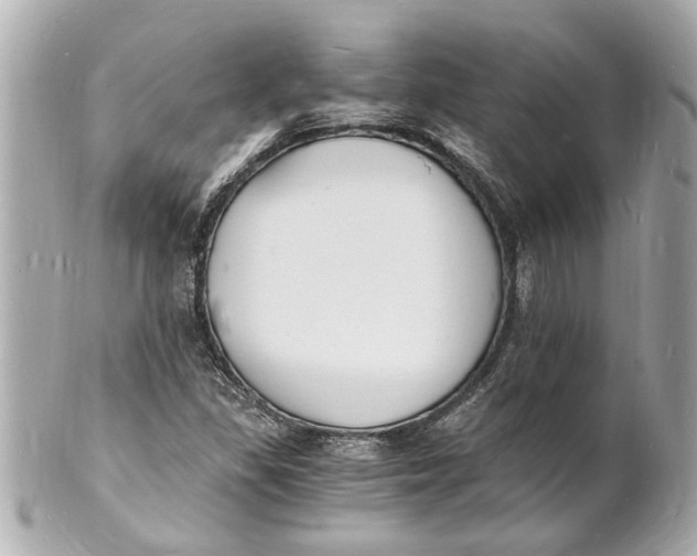X0000101671309200807311448