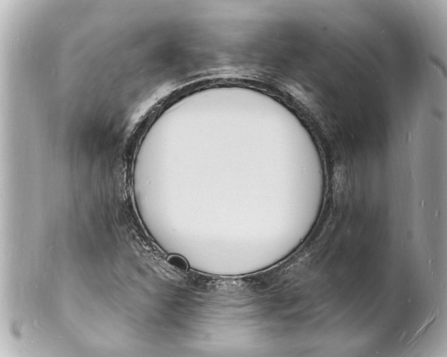 X0000101671310200807311448
