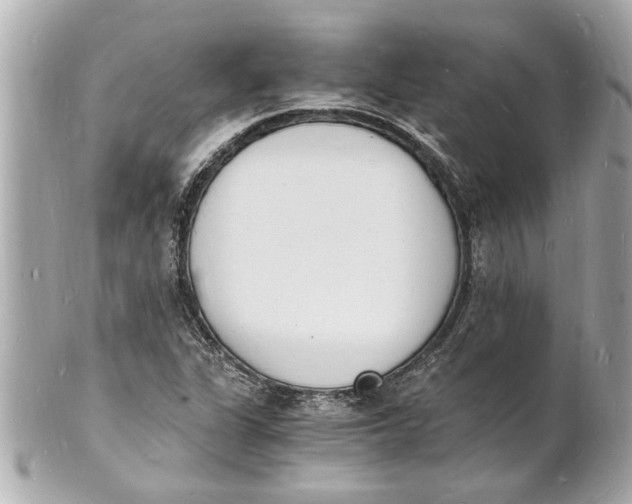 X0000101671311200807311448