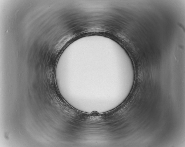 X0000101671313200807311448