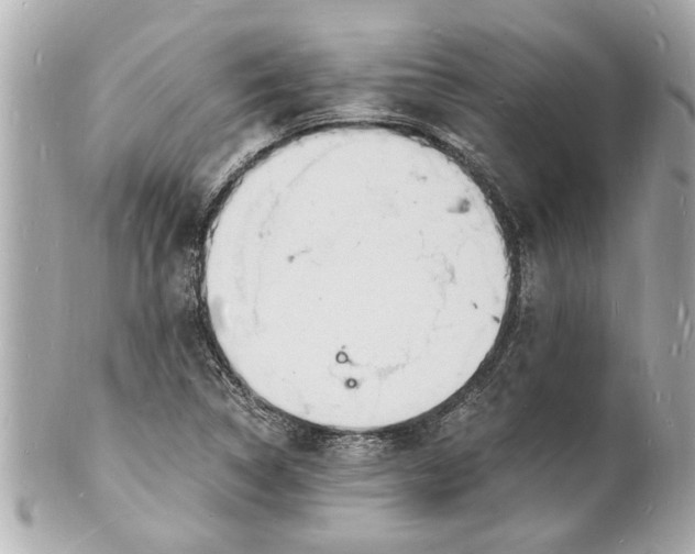 X0000101671314200807311448