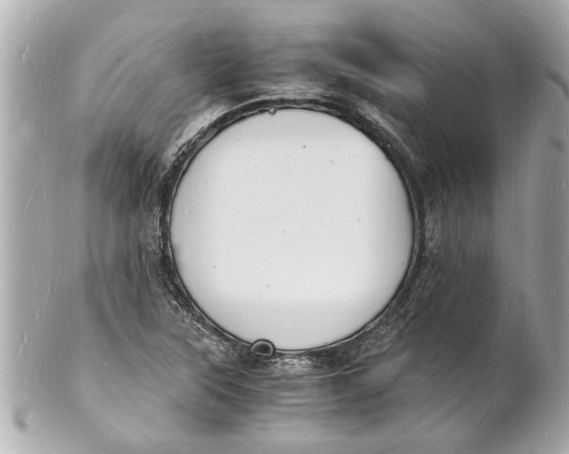 X0000101671315200807311448