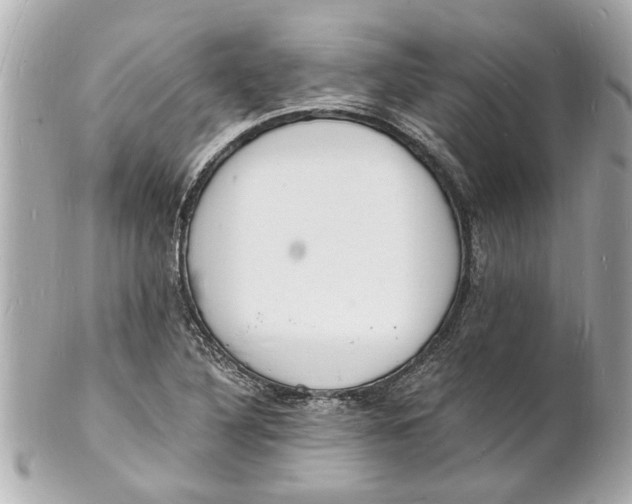 X0000101671316200807311448