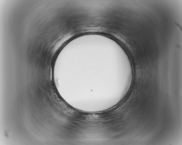 X0000101671317200807311448
