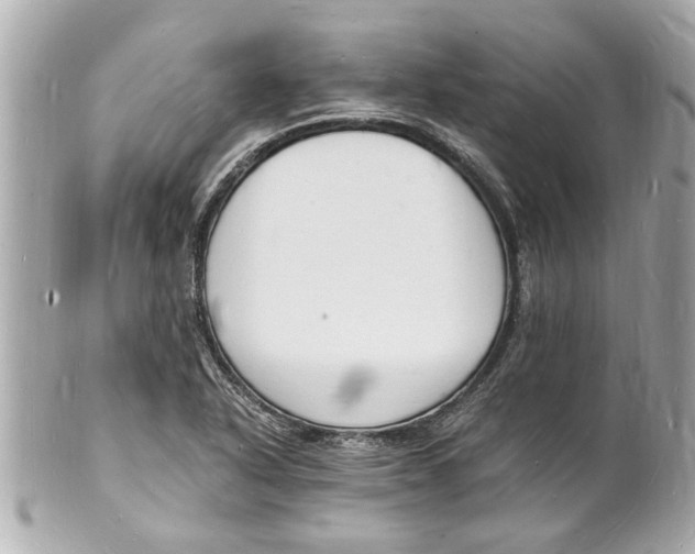 X0000101671318200807311448