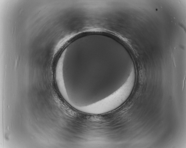 X0000101671319200807311448
