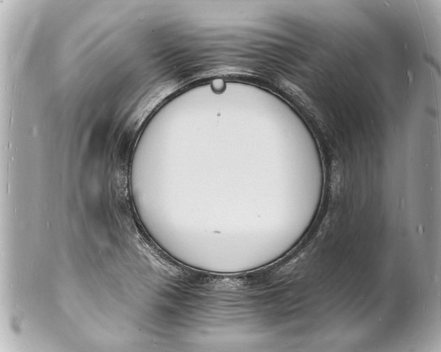 X0000101671321200807311448