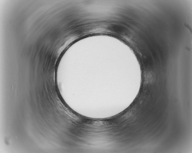 X0000101671322200807311448