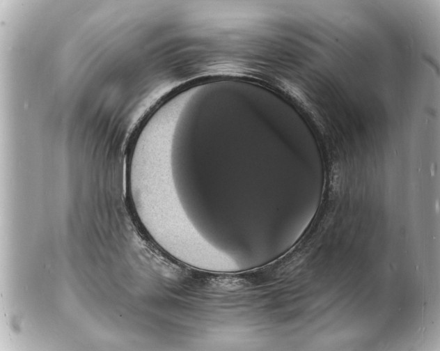 X0000101671323200807311448