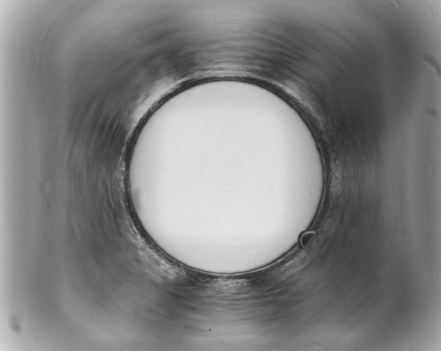 X0000101671325200807311449