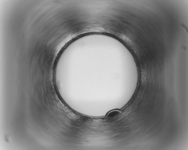 X0000101671326200807311449
