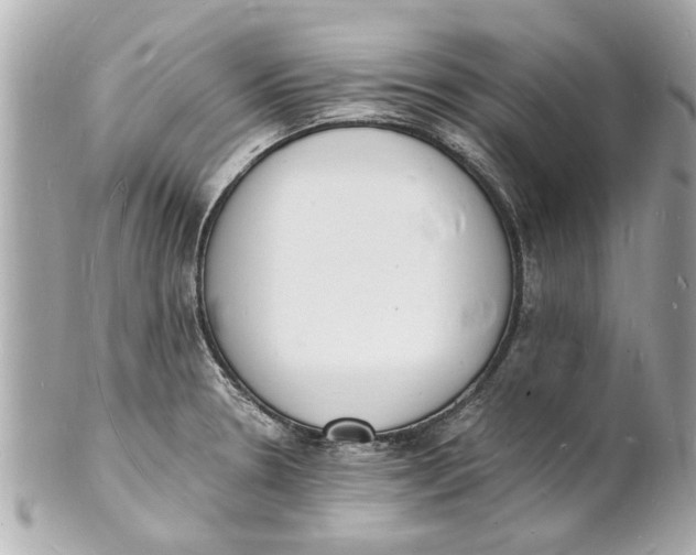 X0000101671330200807311449