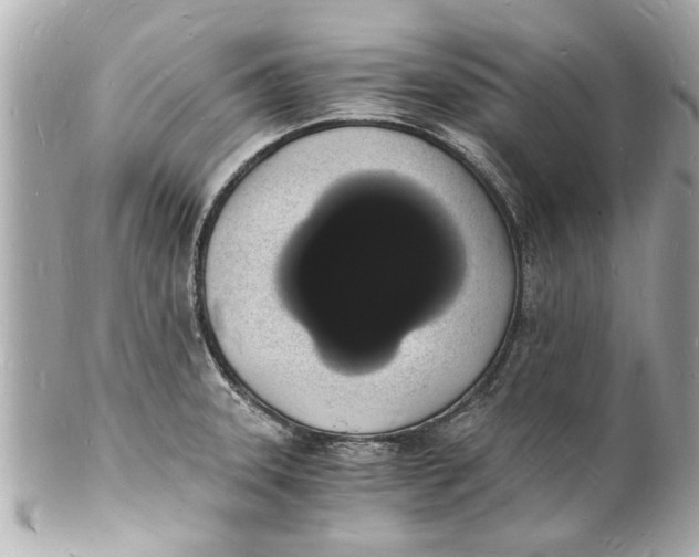 X0000101671331200807311449