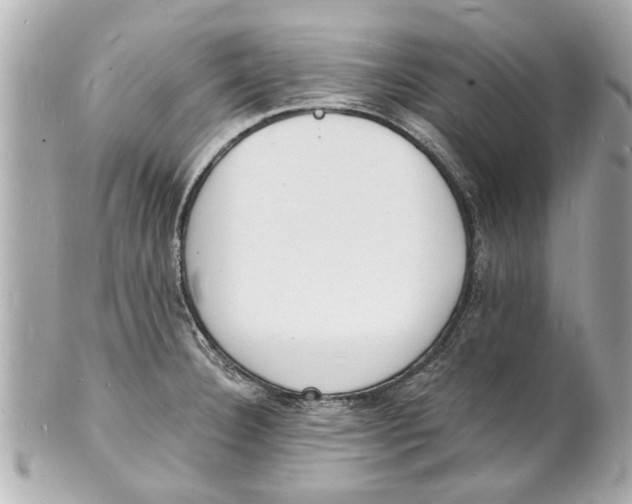 X0000101671332200807311449