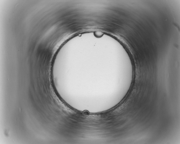 X0000101671333200807311449
