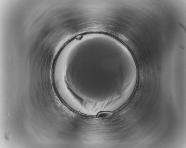 X0000101671334200807311449