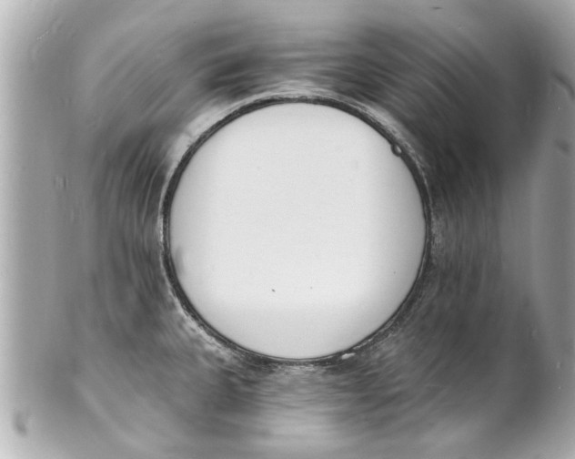 X0000101671335200807311449