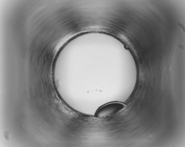 X0000101671336200807311449