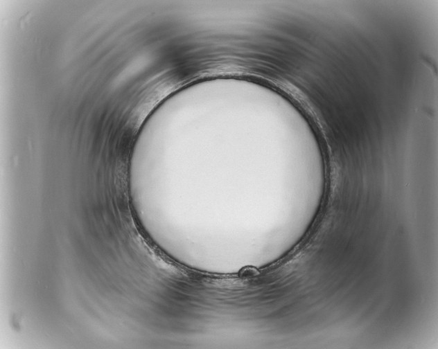X0000101671337200807311449