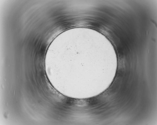 X0000101671338200807311449