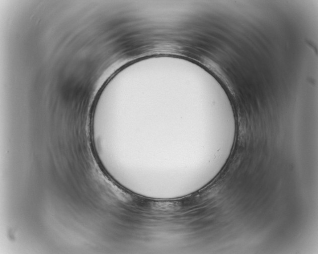 X0000101671339200807311449