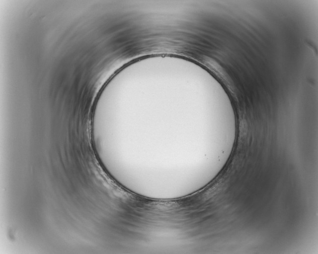X0000101671340200807311449
