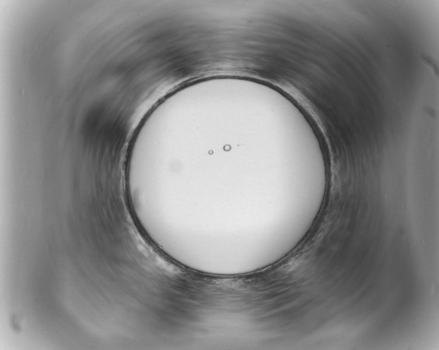 X0000101671341200807311449