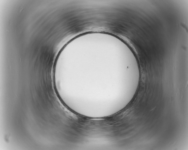 X0000101671343200807311449