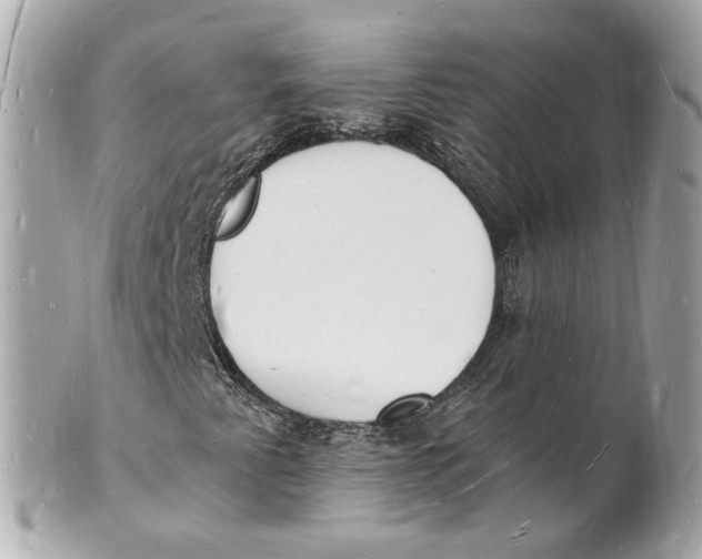 X0000101671345200807311448