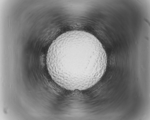 X0000101671346200807311448