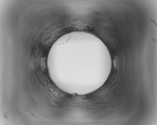 X0000101671347200807311448