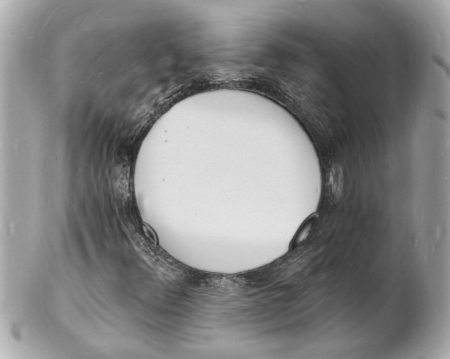 X0000101671348200807311448
