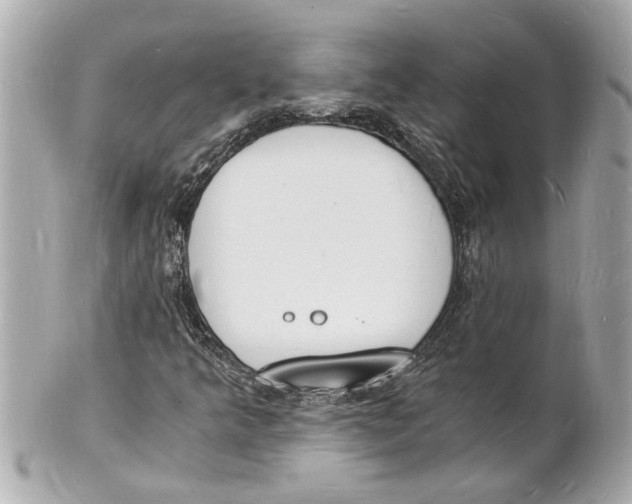 X0000101671349200807311448