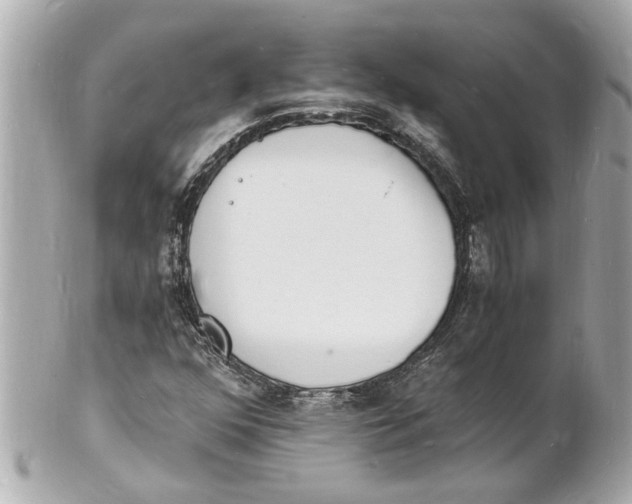 X0000101671352200807311448