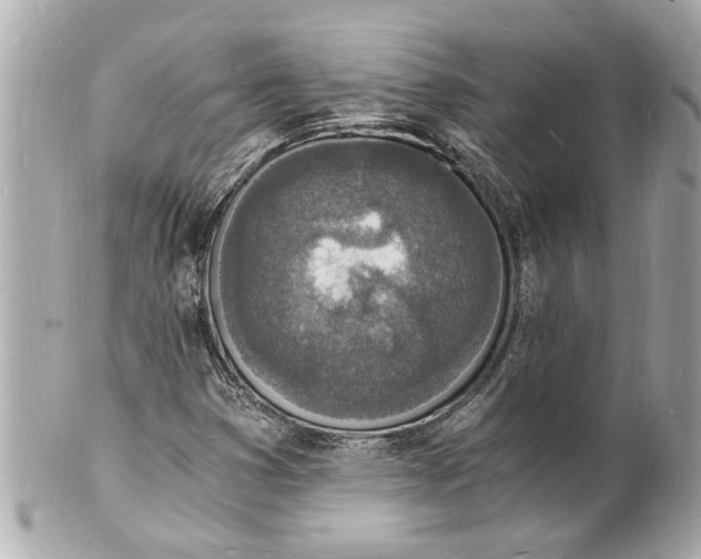 X0000101671353200807311448