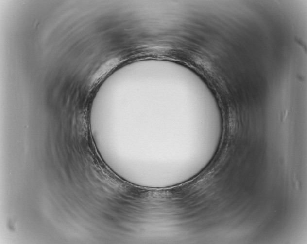 X0000101671354200807311448