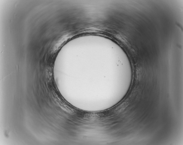 X0000101671355200807311448