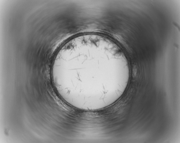 X0000101671356200807311448