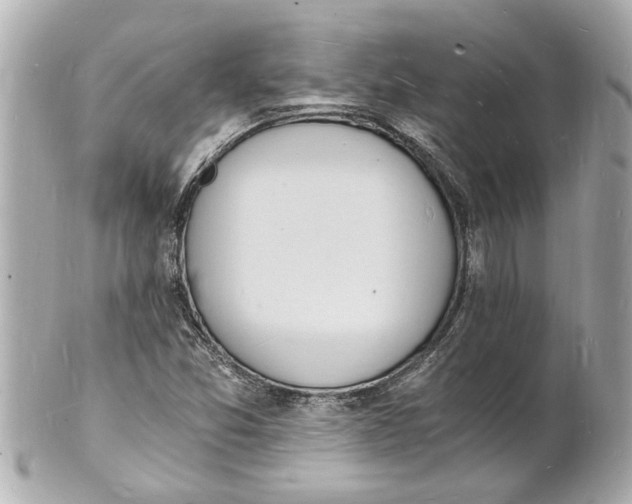 X0000101671357200807311448