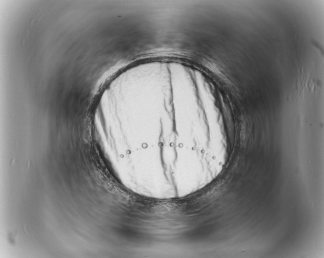 X0000101671358200807311448