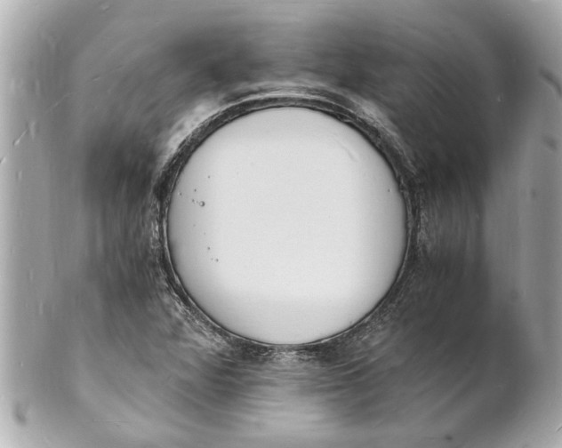 X0000101671360200807311448