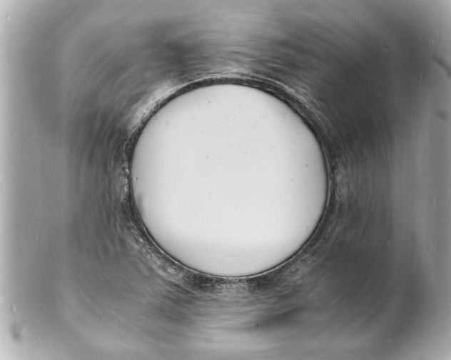 X0000101671363200807311448